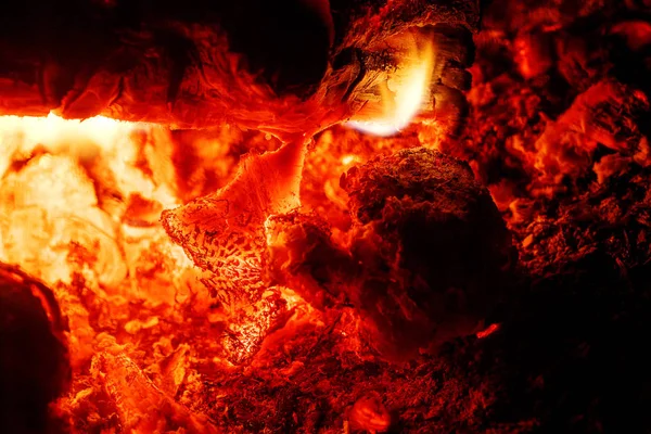 Grilovat lesy na pozadí ohnivé makry, umělecké dílo ve vysoce kvalitních tištěných produktech — Stock fotografie
