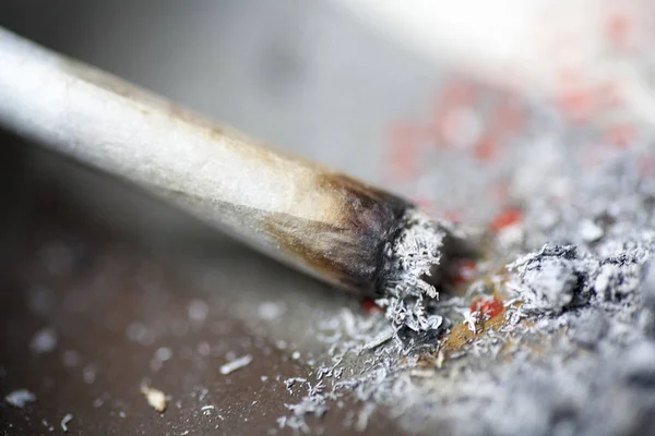 Sigara eklem makro arka plan güzel sanatlar yüksek kaliteli baskılar ürünleri