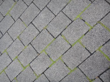 Yüksek kaliteli baskılar çim makro arka plan güzel sanatlar ile Bloklar