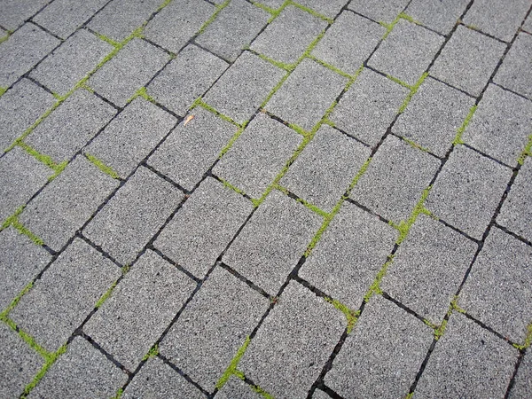 Blöcke mit Gras-Makrohintergrund in hochwertigen Drucken — Stockfoto