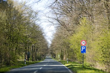 Ağaçlarla boş yol Olfen'den Dorsten'e giden tripp arka planlar duvar kağıtları yüksek kaliteli güzel sanatlar baskıları.