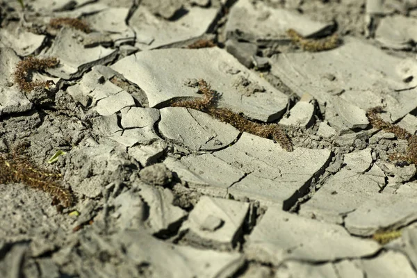 Lippe rivier dorsten Olfen achtergrond wallpaper hoge kwaliteit afdrukken — Stockfoto