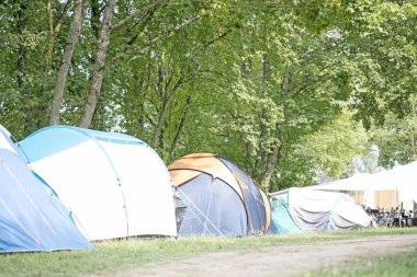 Yaz kamp yüksek kaliteli baskılar ürünleri Almanya arka plan güzel sanat eğilimindedir 50 megapiksel Brombachsee zeltwiese