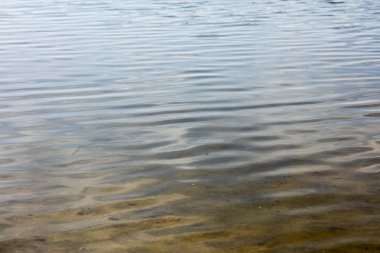 Muhteşem vahşi orman ve yaz kamp ile Lake Brombachsee yüksek kaliteli baskılar ürünler 50 megapiksel Absberg tatil arka plan güzel sanat eğilimindedir