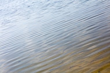 Muhteşem vahşi orman ve yaz kamp ile Lake Brombachsee yüksek kaliteli baskılar ürünler 50 megapiksel Absberg tatil arka plan güzel sanat eğilimindedir