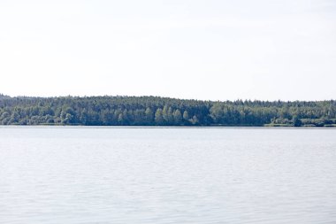 Muhteşem vahşi orman ve yaz kamp ile Lake Brombachsee yüksek kaliteli baskılar ürünler 50 megapiksel Absberg tatil arka plan güzel sanat eğilimindedir