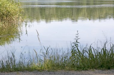 Muhteşem vahşi orman ve yaz kamp ile Lake Brombachsee yüksek kaliteli baskılar ürünler 50 megapiksel Absberg tatil arka plan güzel sanat eğilimindedir