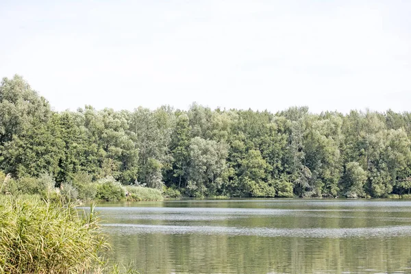 Muhteşem vahşi orman ve yaz kamp ile Lake Brombachsee yüksek kaliteli baskılar ürünler 50 megapiksel Absberg tatil arka plan güzel sanat eğilimindedir