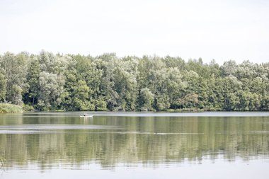 Vahşi orman Lake Brombachsee arka plan güzel sanat yüksek kaliteli baskılar ürünleri 50 megapiksel Absberg