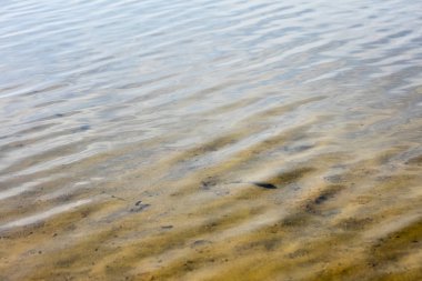 Muhteşem vahşi orman ve yaz kamp ile Lake Brombachsee yüksek kaliteli baskılar ürünler 50 megapiksel Absberg tatil arka plan güzel sanat eğilimindedir