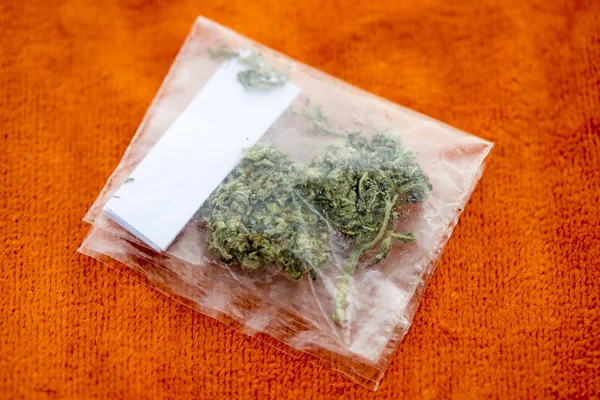 Medical Bud Lemon Haze konopi w torbie z porad makro tło sztuki wysokiej jakości wydruków produktów 50 megapikseli — Zdjęcie stockowe