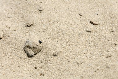 Plaj kum makro arka plan güzel sanat yüksek kaliteli baskılar ürünler 50 megapiksel