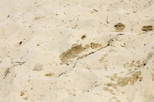 Praia areia macro fundo arte fina em alta qualidade imprime produtos cinquenta megapixels — Fotografia de Stock