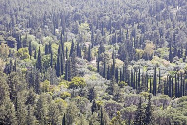 Atina'da Dağ Yunanistan Hymmitos elli megapiksel baskılar