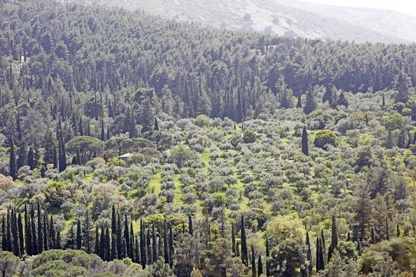 Montaña en Atenas Grecia Hymmitos cincuenta megapíxeles print — Foto de Stock