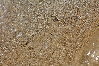 Plaj makro temiz sular Atina yaz arka plan elli megapixe