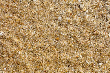 Plaj makro temiz sular Atina yaz arka plan elli megapixe