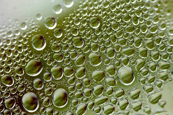 Su plastik bir şişe elli megapiksel makro düşer 