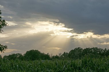 Sunshine aftemoon arka plan Dorsten Rhade Almanya elli megapix