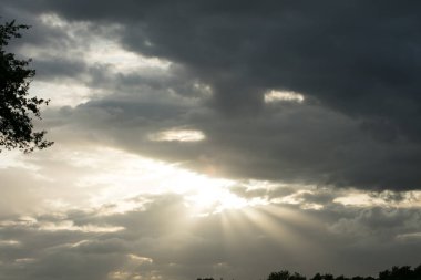 Sunshine aftemoon arka plan Dorsten Rhade Almanya elli megapix