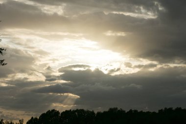 Sunshine aftemoon arka plan Dorsten Rhade Almanya elli megapix