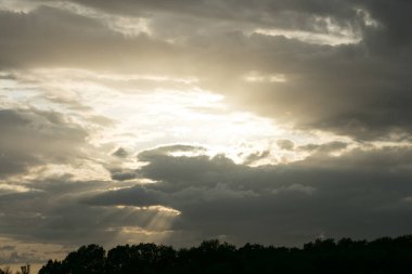 Sunshine aftemoon arka plan Dorsten Rhade Almanya elli megapix