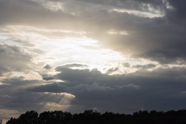 Sunshine aftemoon arka plan Dorsten Rhade Almanya elli megapix