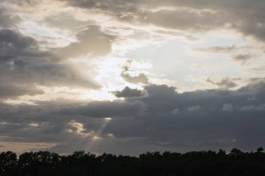 Sunshine aftemoon arka plan Dorsten Rhade Almanya elli megapix