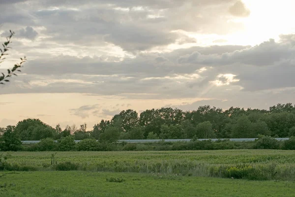 Sunshine aftemoon arka plan Dorsten Rhade Almanya elli megapix