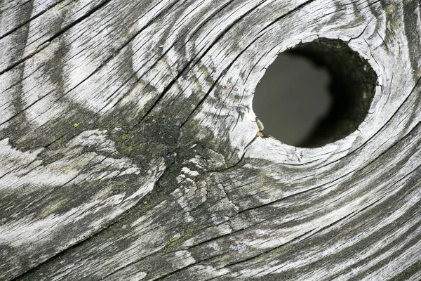 Hole in wood macro fifty megapixels — Stock Photo, Image