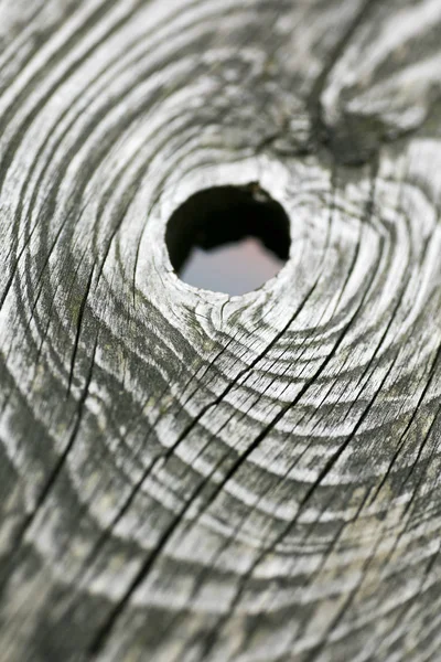 Loch in Holz-Makro fünfzig Megapixel — Stockfoto