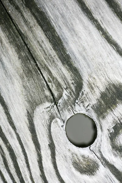 Hole in wood macro fifty megapixels — Stock Photo, Image