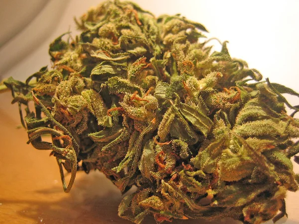 Cannabis bio cretan ungu kabut makro vintage perasaan sekolah tua — Stok Foto