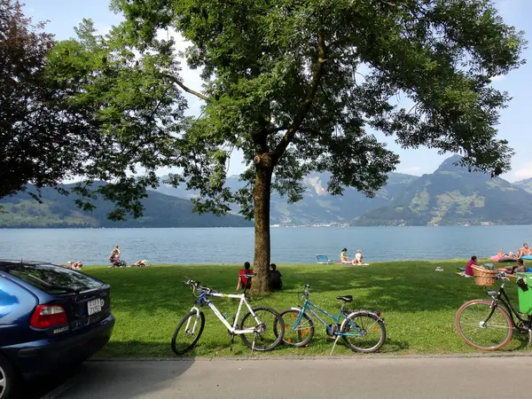 瑞士城市景观旅游疯狂美丽的湖夏季时间 — 图库照片