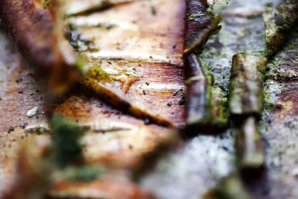 Povrch dřeva barevná abstrakce makro pozadí jemné umění ve vysoce kvalitních tištěných výrobcích — Stock fotografie