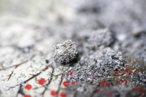 Ashes from cigarette joint macro background fine art in high quality prints products — Stock Photo, Image