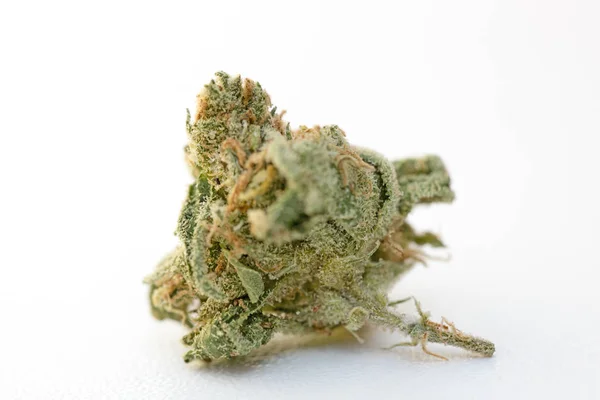 Esrar tomurcuk çilek pus yakın arka plan odak pri sıkışmış