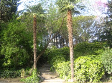 Madrit, İspanya - 12 Ağustos 2007: Merkezyürüyüş gezisinin görünümü 