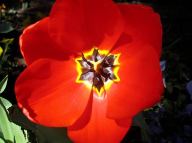 Madrit, İspanya - 12 Ağustos 2007: Merkezyürüyüş gezisinin görünümü 