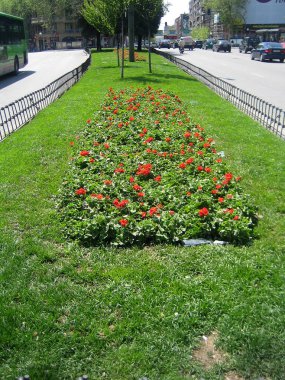 Madrit, İspanya - 12 Ağustos 2007: Merkezyürüyüş gezisinin görünümü 