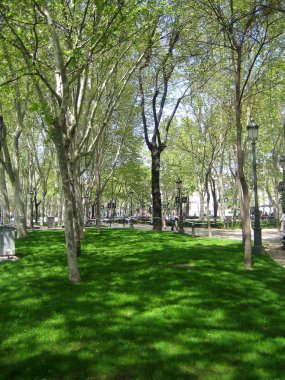 Madrit, İspanya - 12 Ağustos 2007: Merkezyürüyüş gezisinin görünümü 