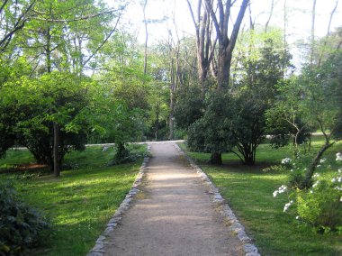 Madrit, İspanya - 13 Ağustos 2007: Merkezin yaya gezisine bakışı 