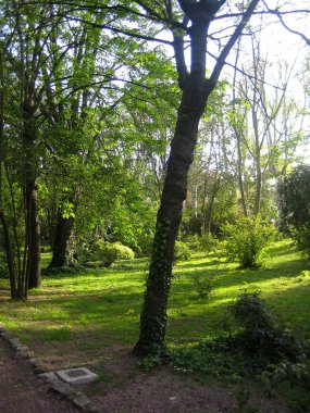 Madrit, İspanya - 13 Ağustos 2007: Merkezin yaya gezisine bakışı 