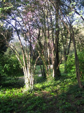 Madrit, İspanya - 13 Ağustos 2007: Merkezin yaya gezisine bakışı 