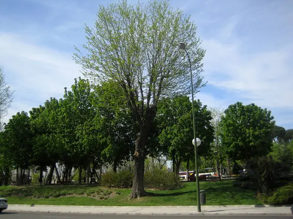 Madrit, Španělsko-13. srpen 2007: pohled na centrum na pěší výlet — Stock fotografie