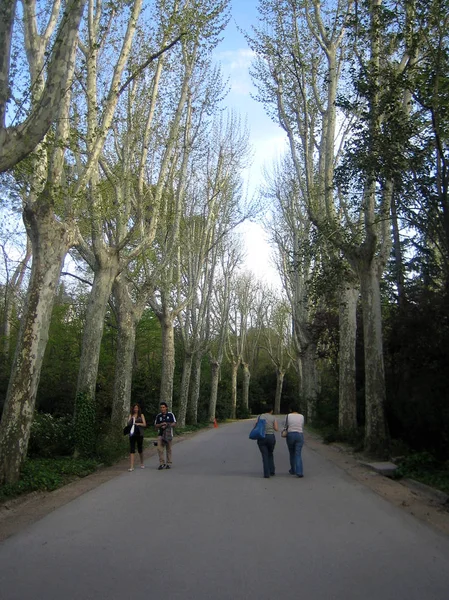 Madrit, Spain - 13 August 2007: View of the center on foot trip — Stock Photo, Image