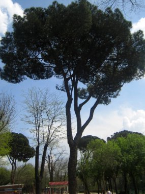 Madrit, İspanya - 12 Ağustos 2007: Merkezin en iyi yerleri