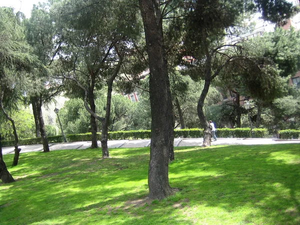 Madrit, España - 12 de agosto de 2007: Vista del centro — Foto de Stock