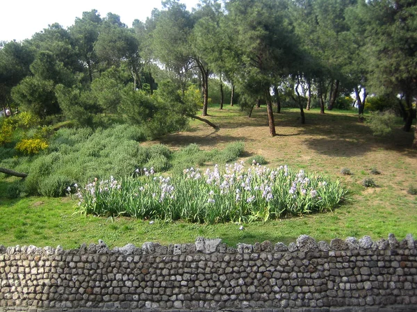 Madrit, Spain - 12 August 2007: View of the center top places on — Stock Photo, Image