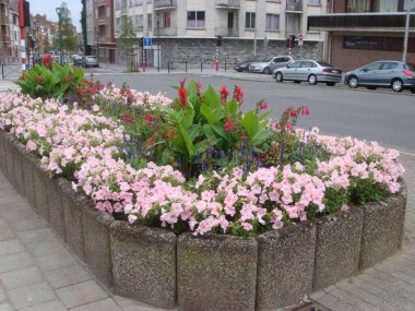 Belçika, Brüksel - 12 Ağustos 2008: Yaya olarak orta saha